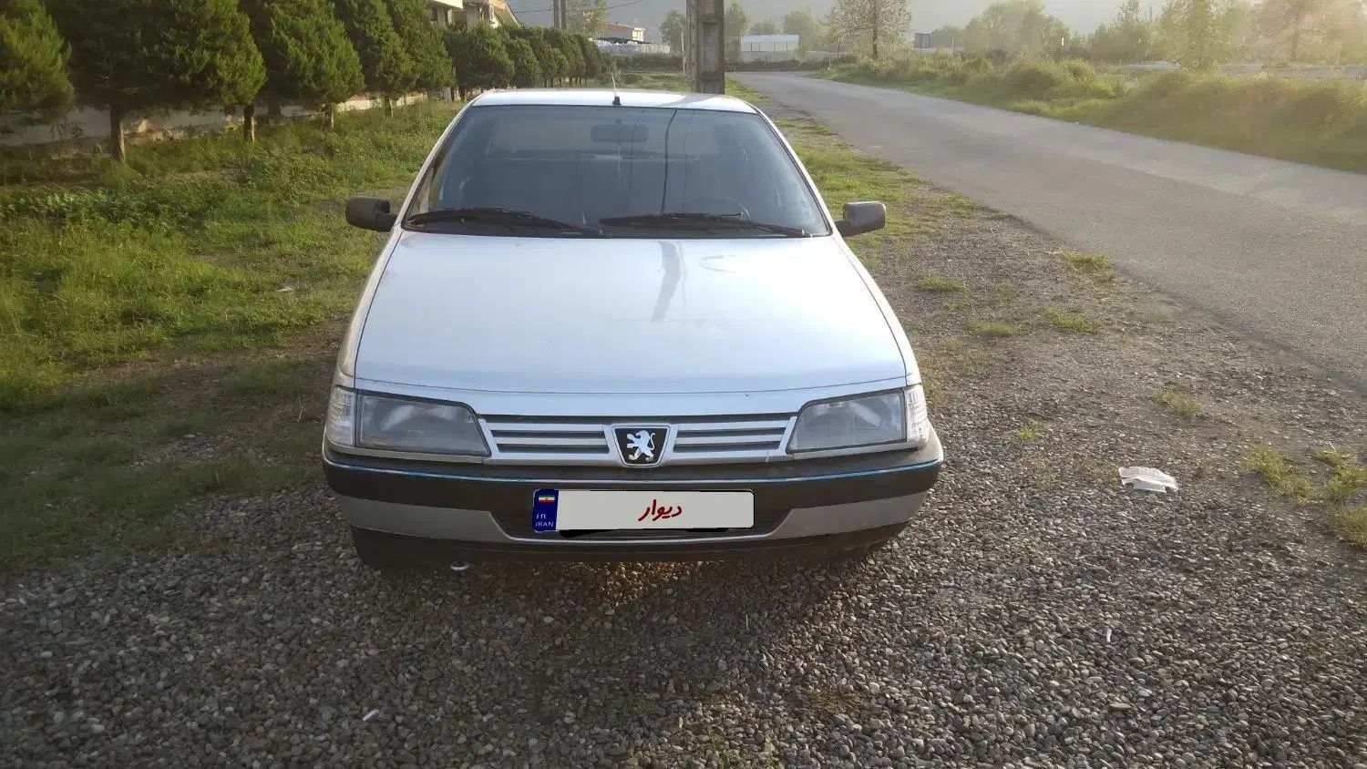 پژو 405 GLX - دوگانه سوز - 1387