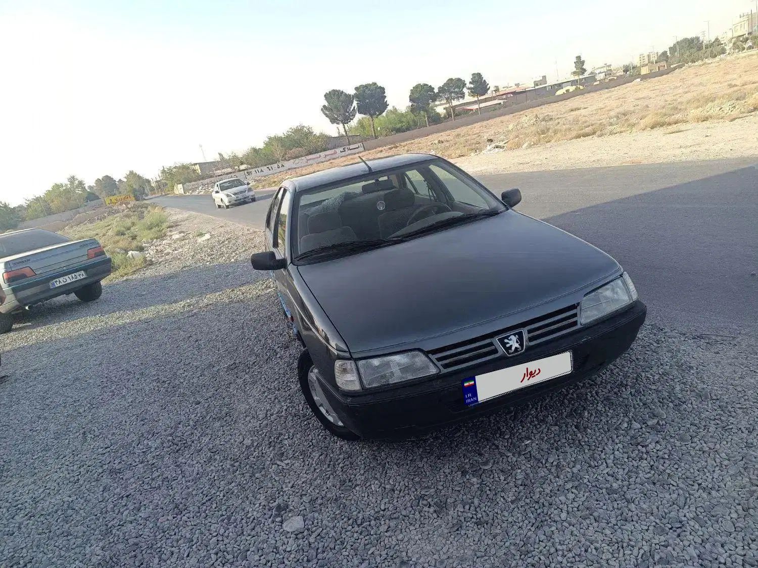 پژو 405 GLX - دوگانه سوز - 1389