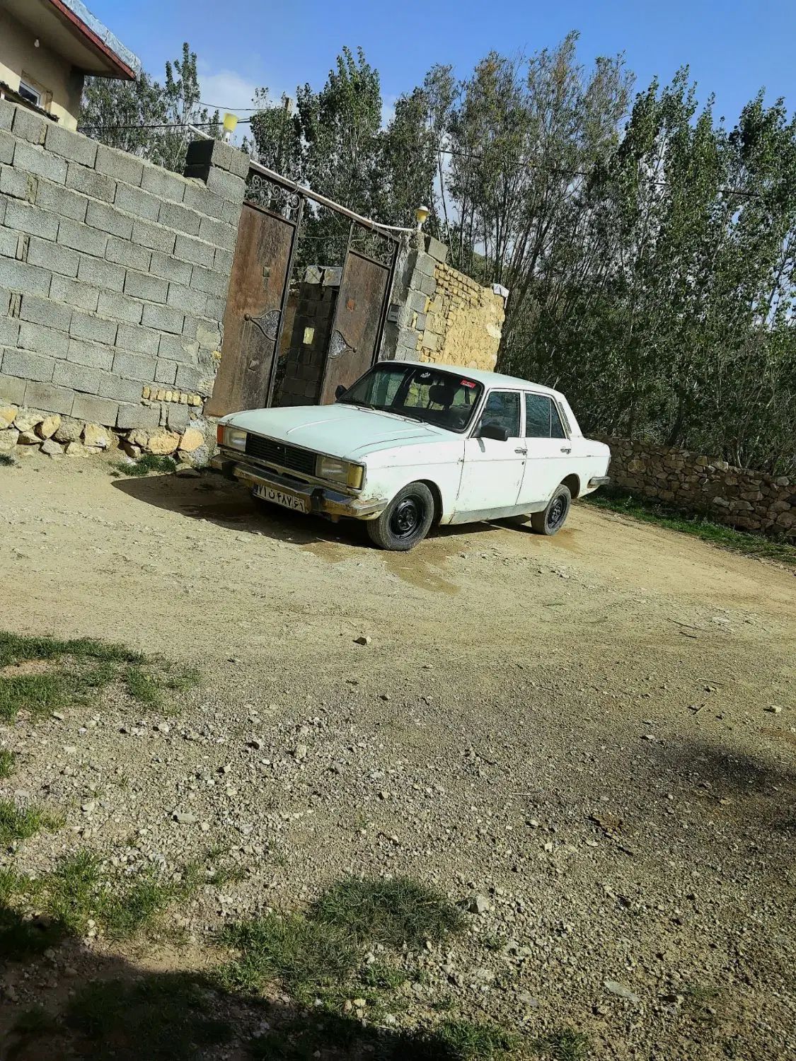 پیکان سواری دوگانه سوز - 1383