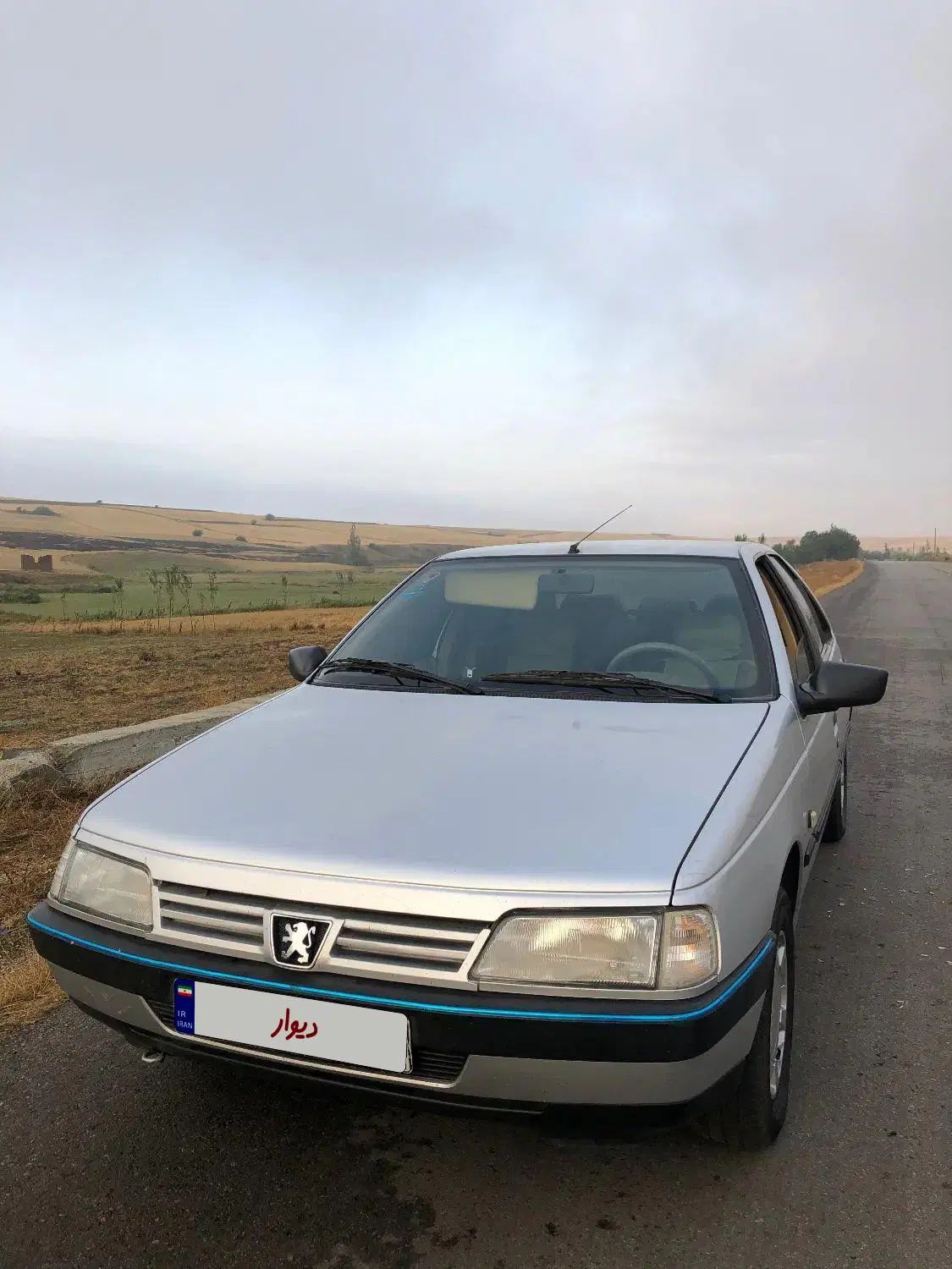 پژو 405 GLX - دوگانه سوز - 1390