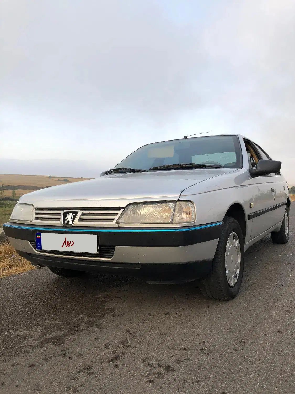 پژو 405 GLX - دوگانه سوز - 1390