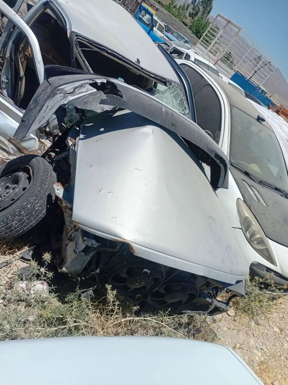پژو 405 GLX - دوگانه سوز - 1390