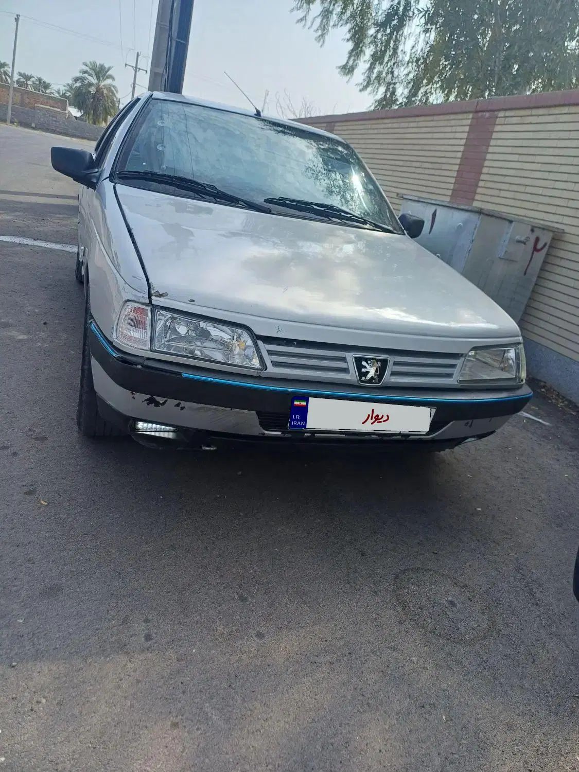 پژو 405 GLX - دوگانه سوز - 1389