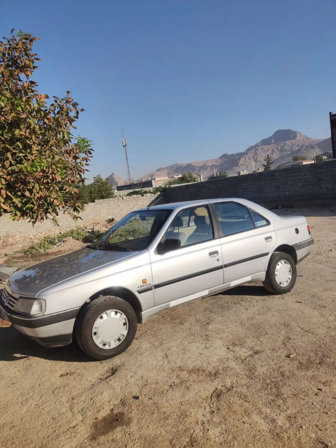پژو 405 GLX - دوگانه سوز - 1393