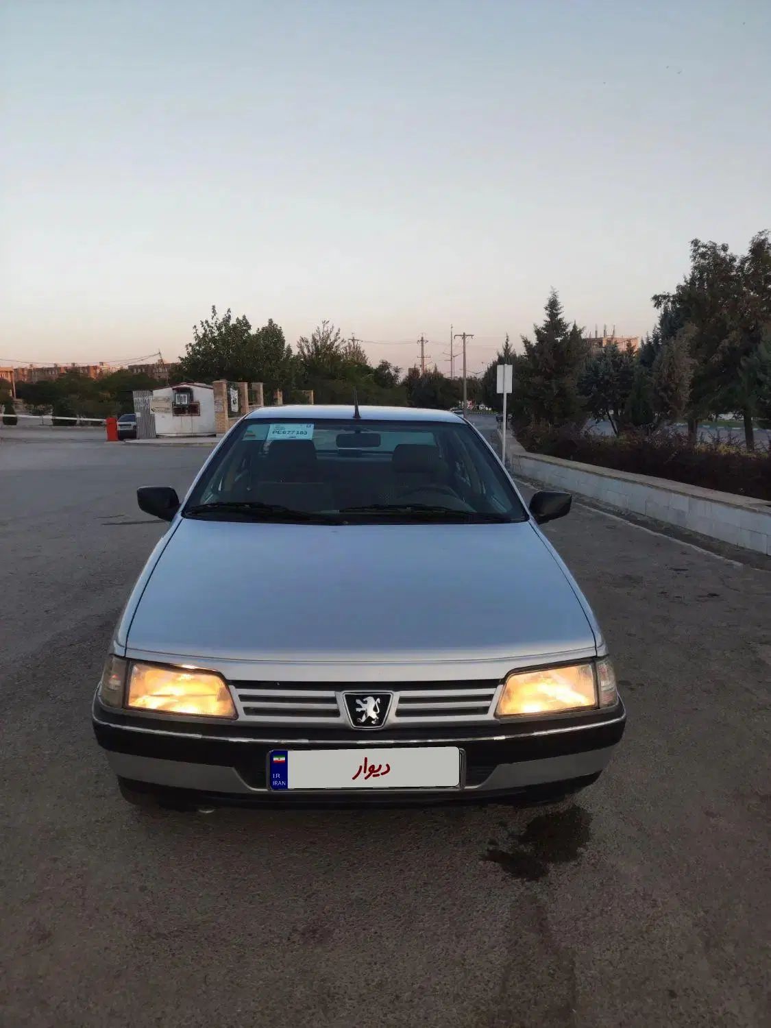 پژو 405 GLX - دوگانه سوز - 1393
