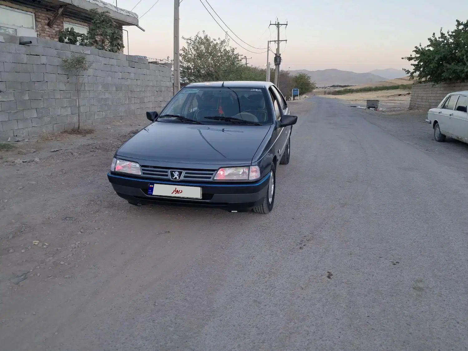 پژو 405 GLX - دوگانه سوز - 1396