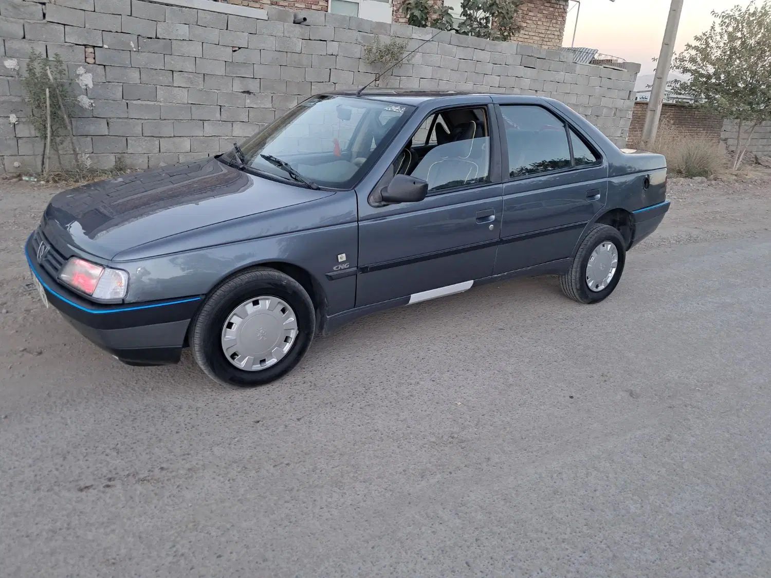 پژو 405 GLX - دوگانه سوز - 1396