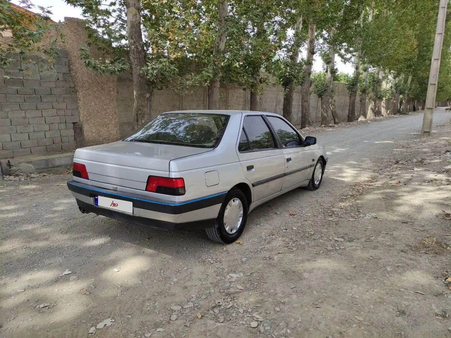پژو 405 GLX - دوگانه سوز - 1391