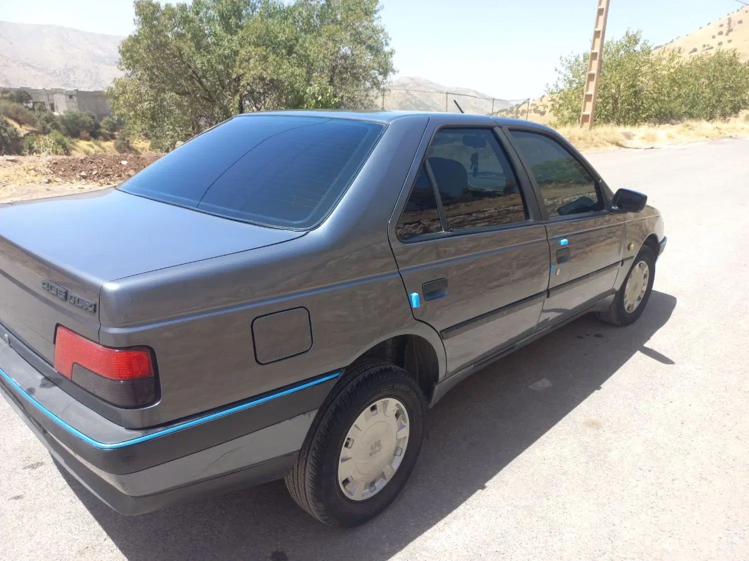 پژو 405 GLX - دوگانه سوز - 1394