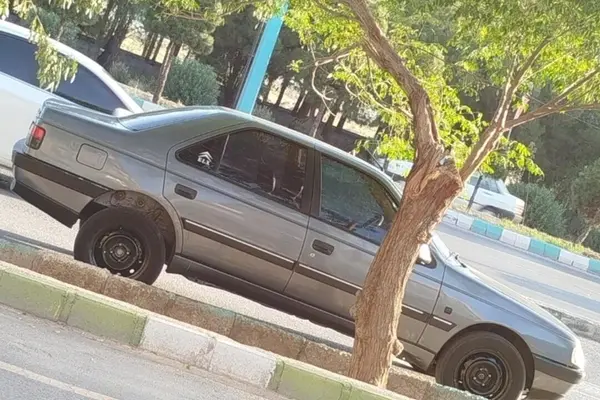 پژو 405 GLX - دوگانه سوز - 1395