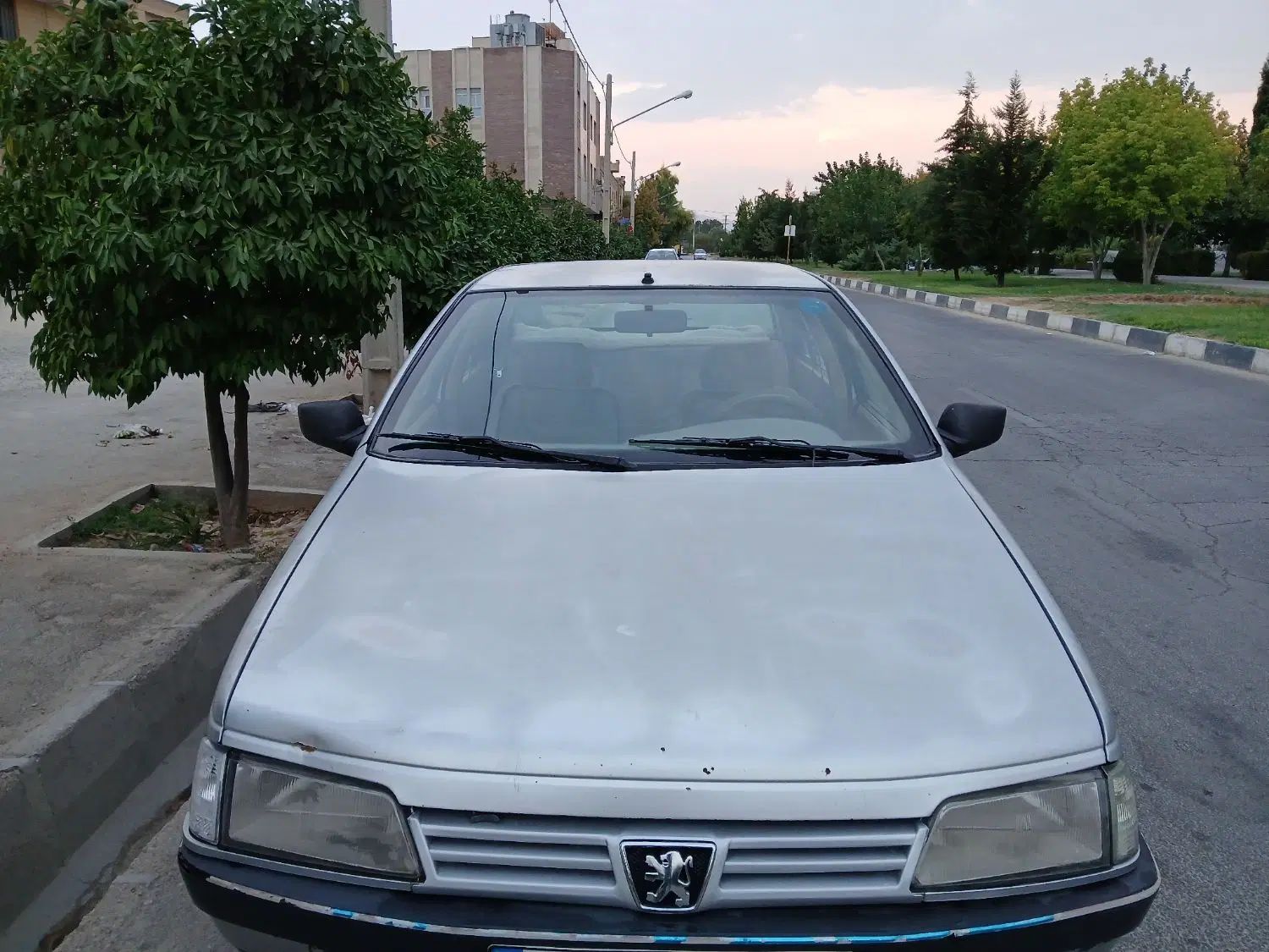 پژو 405 GLX - 1391