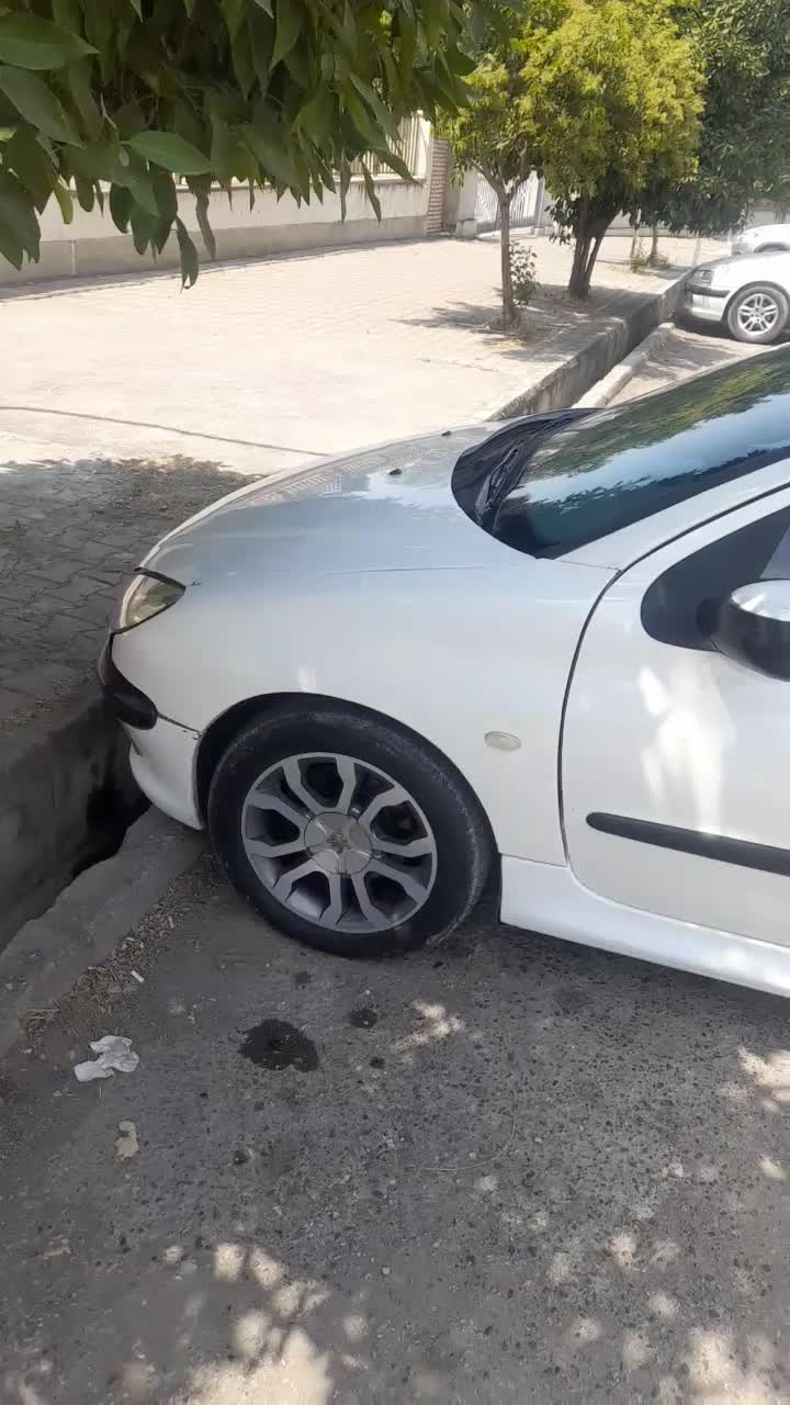 پژو ۲۰۶ صندوق دار v8 - 1390