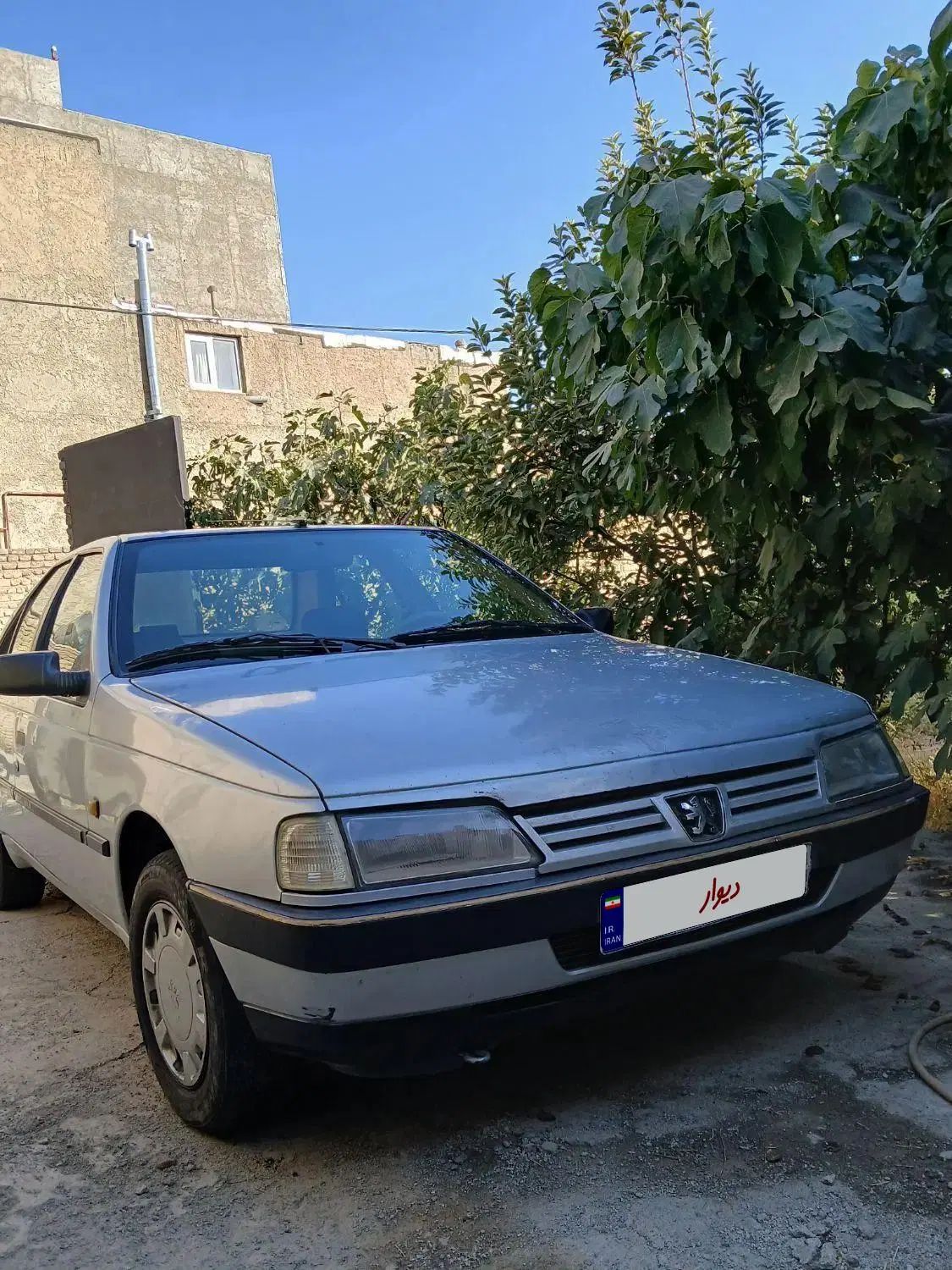 پژو 405 GLX - دوگانه سوز - 1391