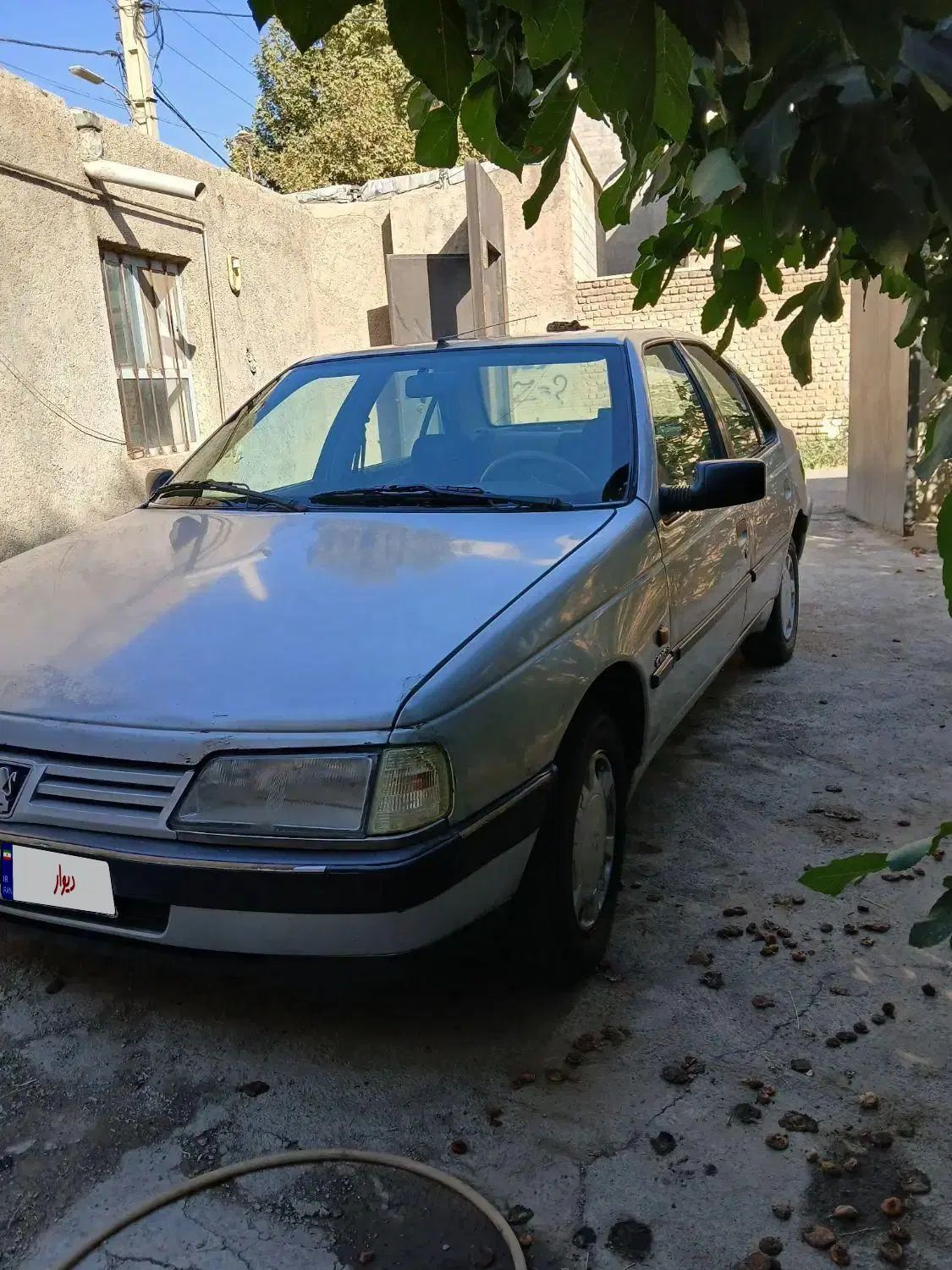 پژو 405 GLX - دوگانه سوز - 1391