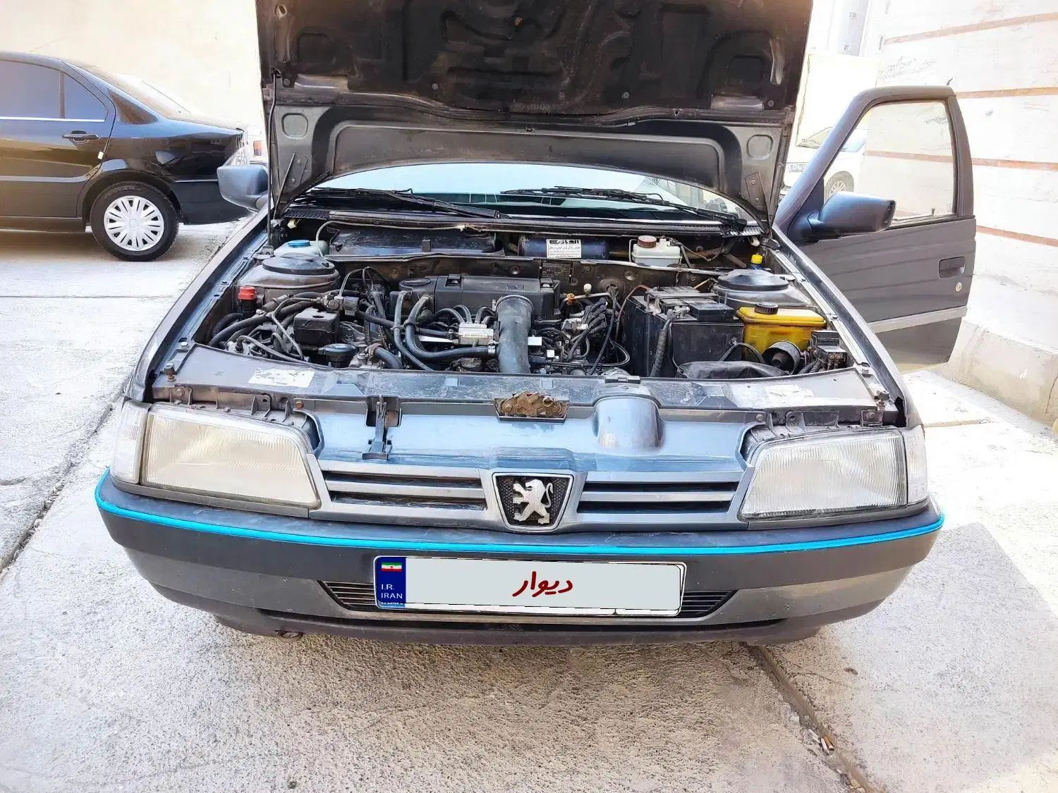 پژو 405 GLX - دوگانه سوز - 1395