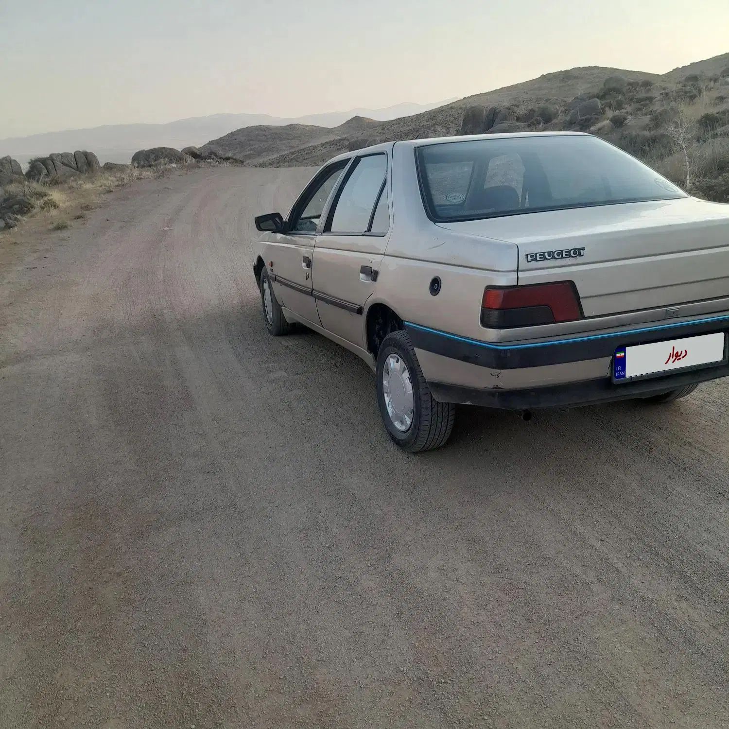 پژو 405 GLX - دوگانه سوز - 1386