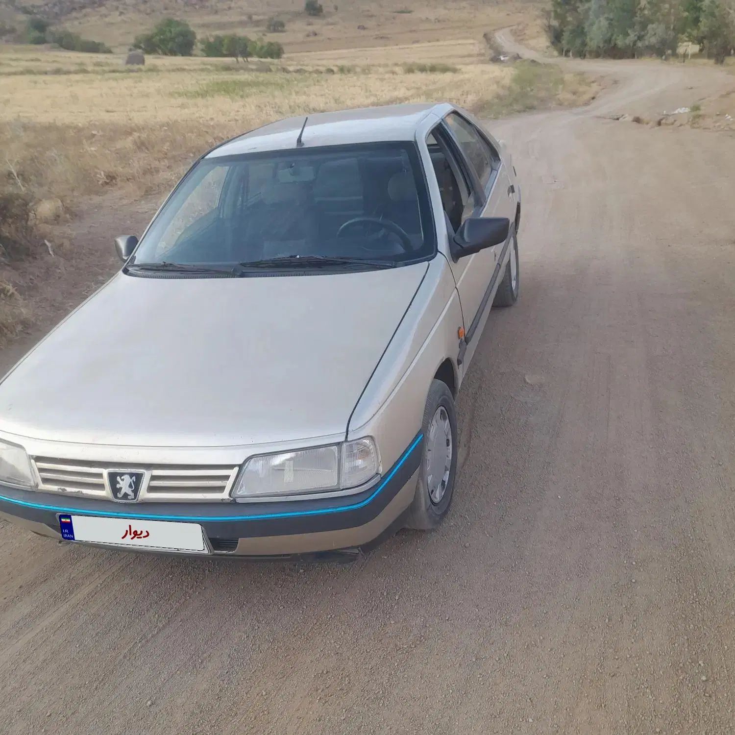 پژو 405 GLX - دوگانه سوز - 1386
