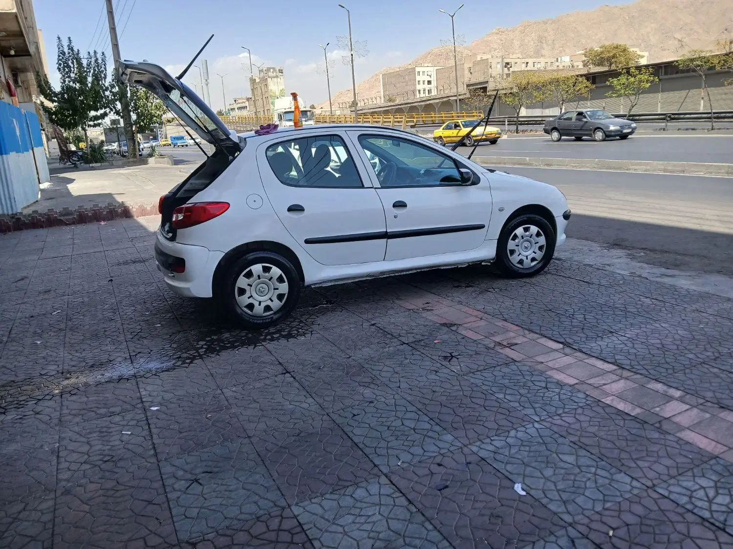 پژو 206 تیپ 5 - 1393
