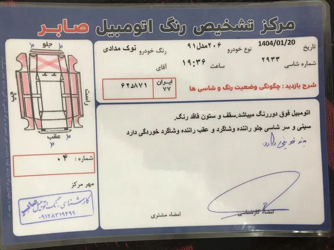 پژو 206 تیپ 2 - 1391