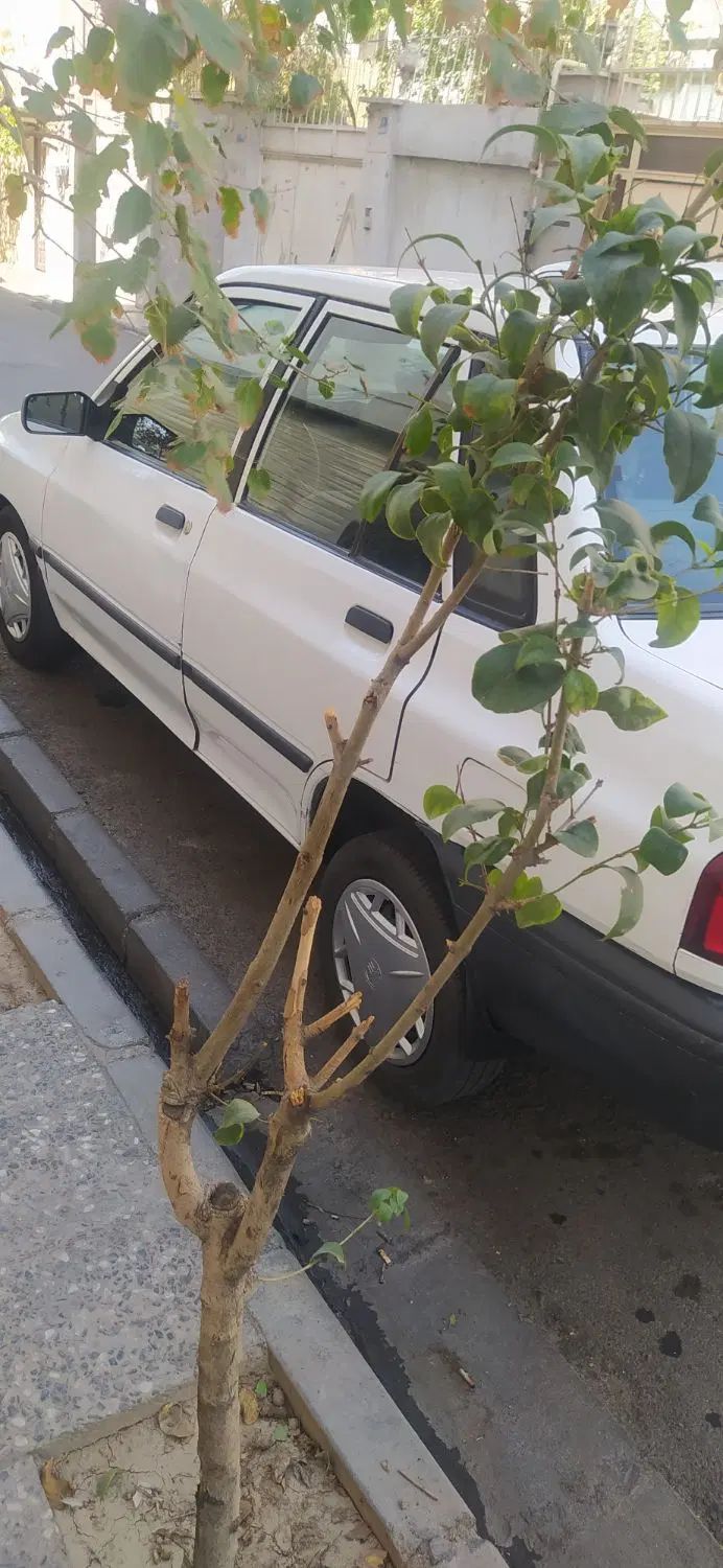پراید صبا بنزینی - 1383