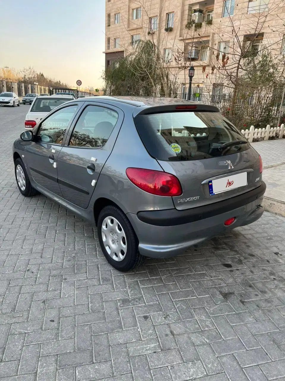 پژو 206 تیپ 2 - 1399
