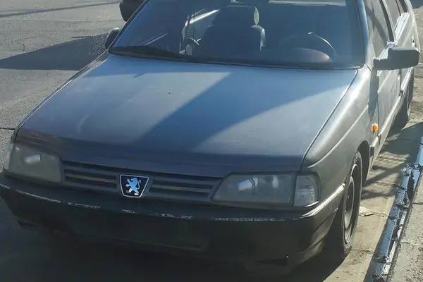 پژو 405 GLX - دوگانه سوز - 1381