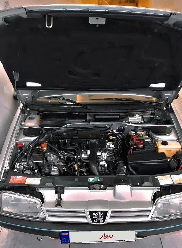 پژو 405 GLX - دوگانه سوز - 1389