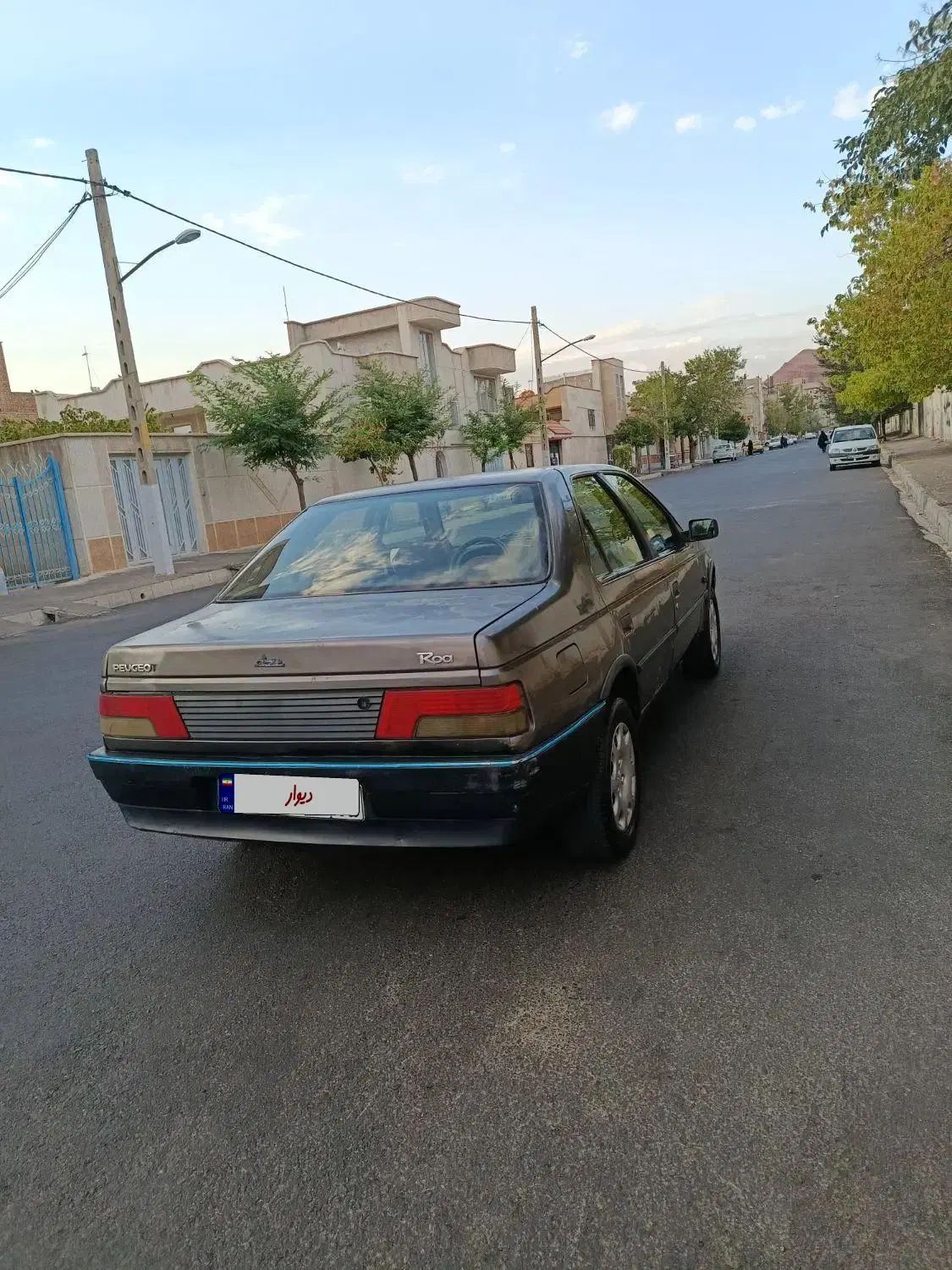 پژو روآ دوگانه سوز - 1387