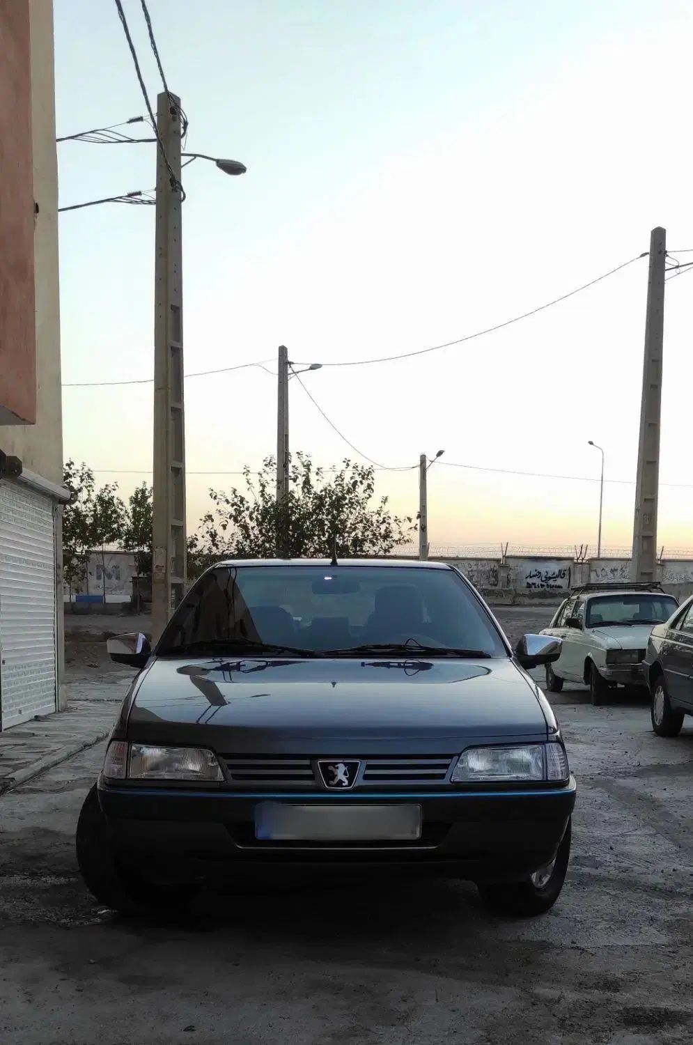 پژو 405 GLX - دوگانه سوز - 1395