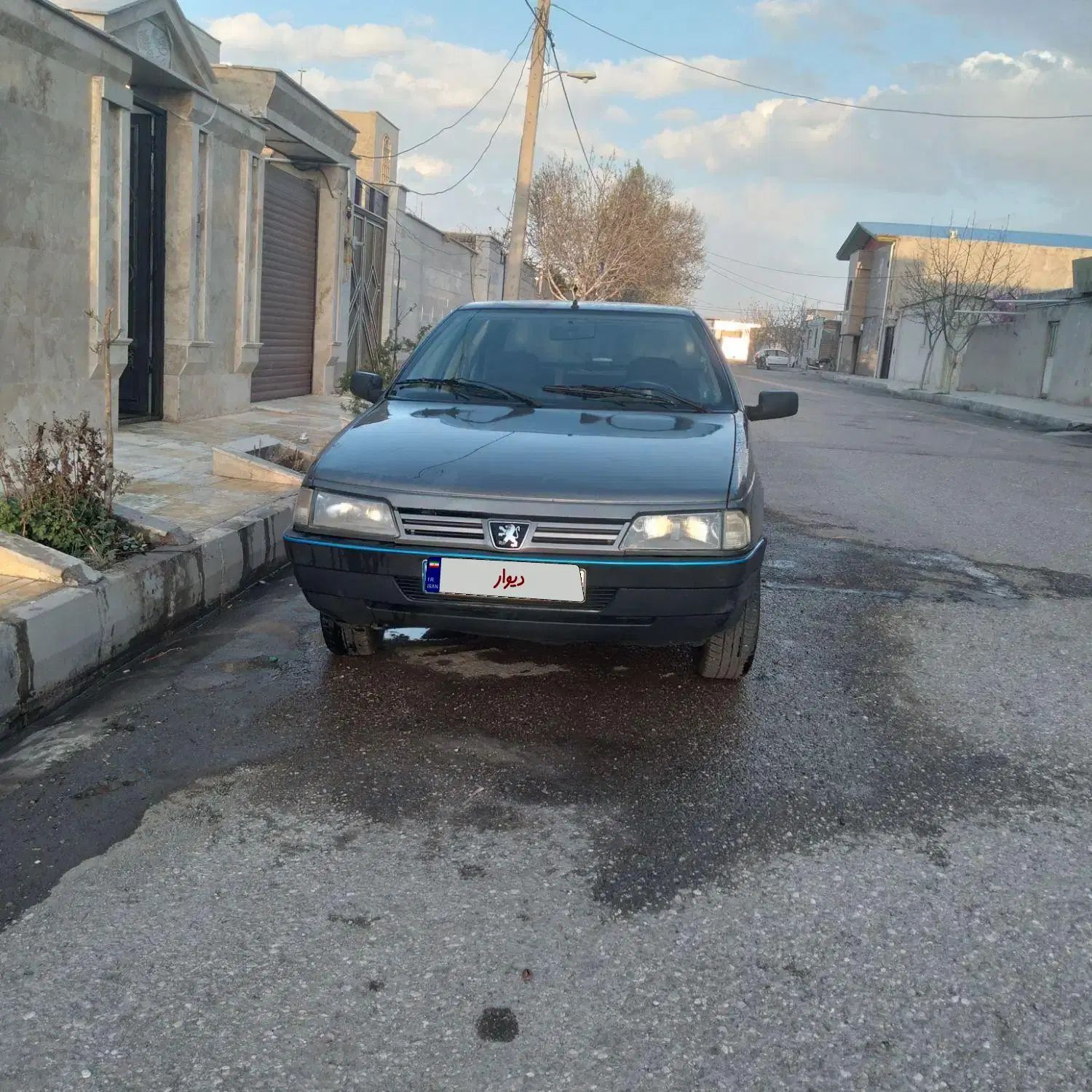 پژو 405 GLX - دوگانه سوز - 1391