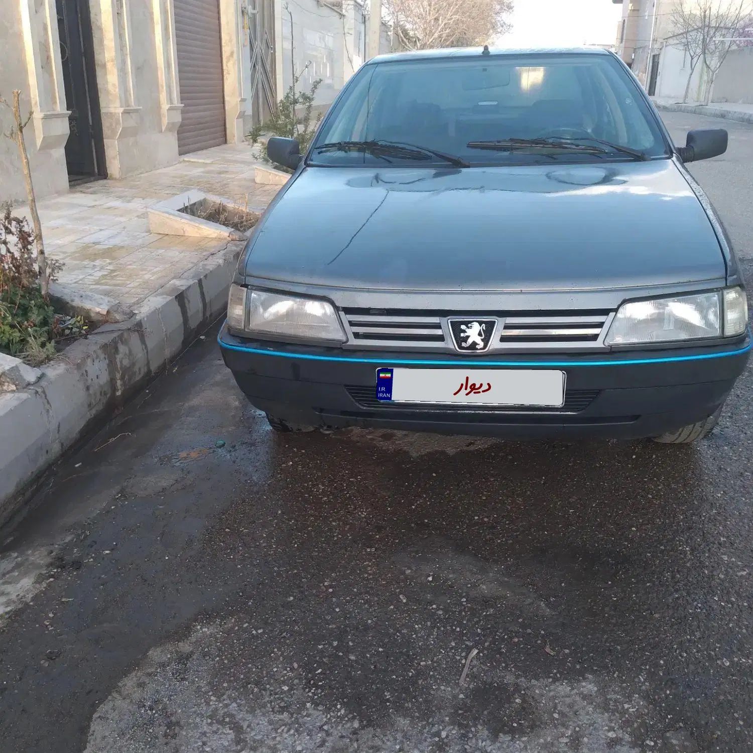 پژو 405 GLX - دوگانه سوز - 1391