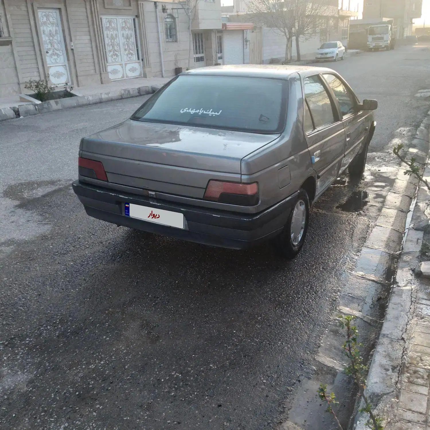 پژو 405 GLX - دوگانه سوز - 1391