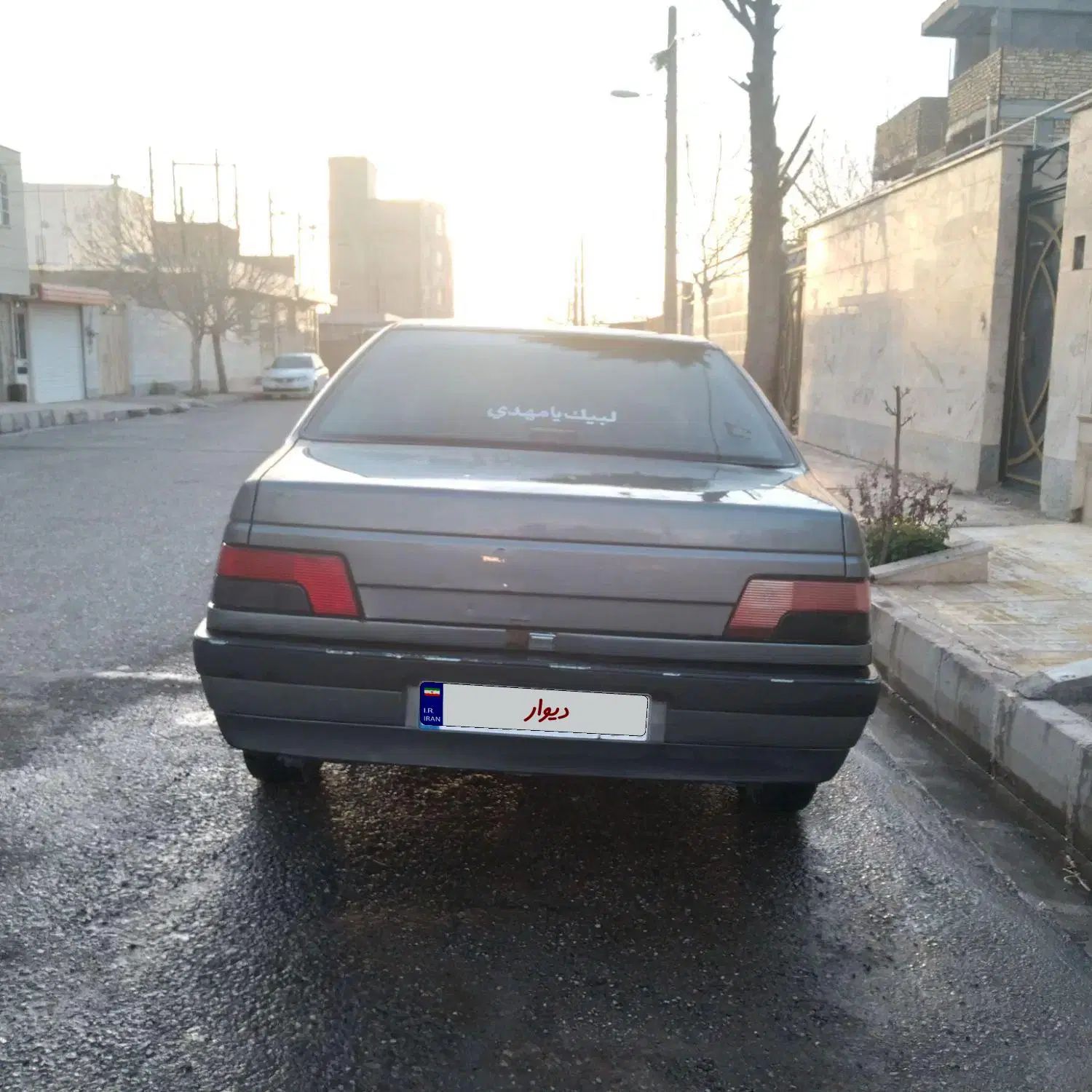 پژو 405 GLX - دوگانه سوز - 1391
