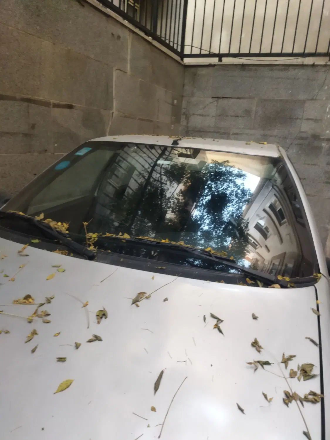 پژو 405 GLI - دوگانه سوز CNG - 1387