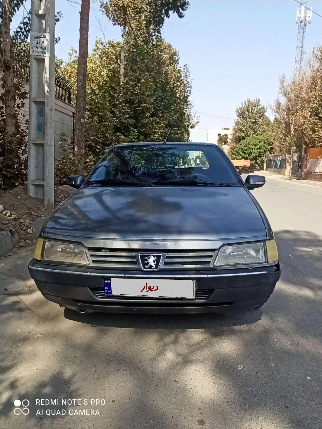پژو 405 GLX - دوگانه سوز - 1391
