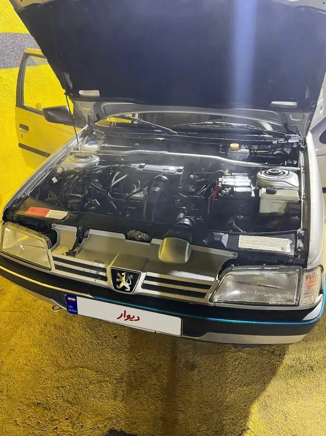 پژو 405 GLX - دوگانه سوز - 1393