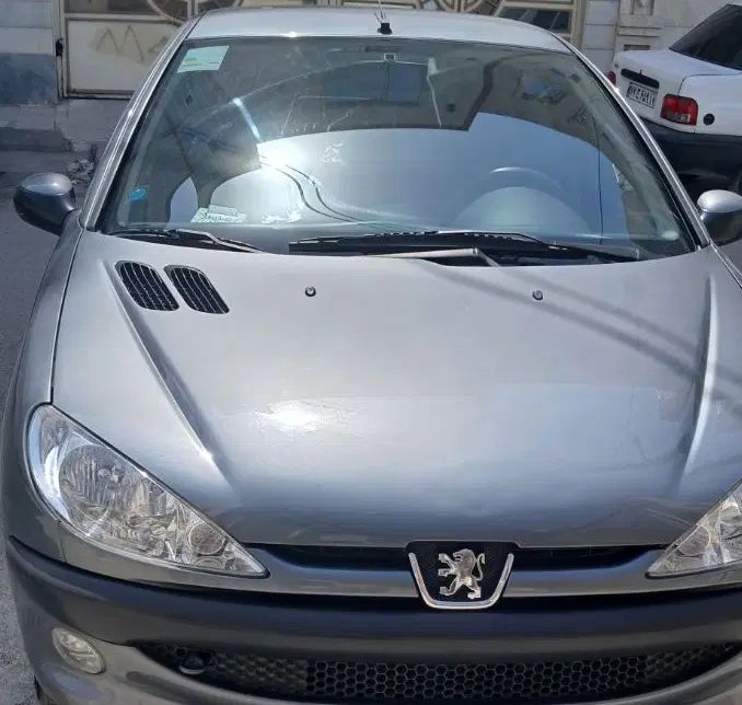 پژو ۲۰۶ صندوق دار v8 - 1399