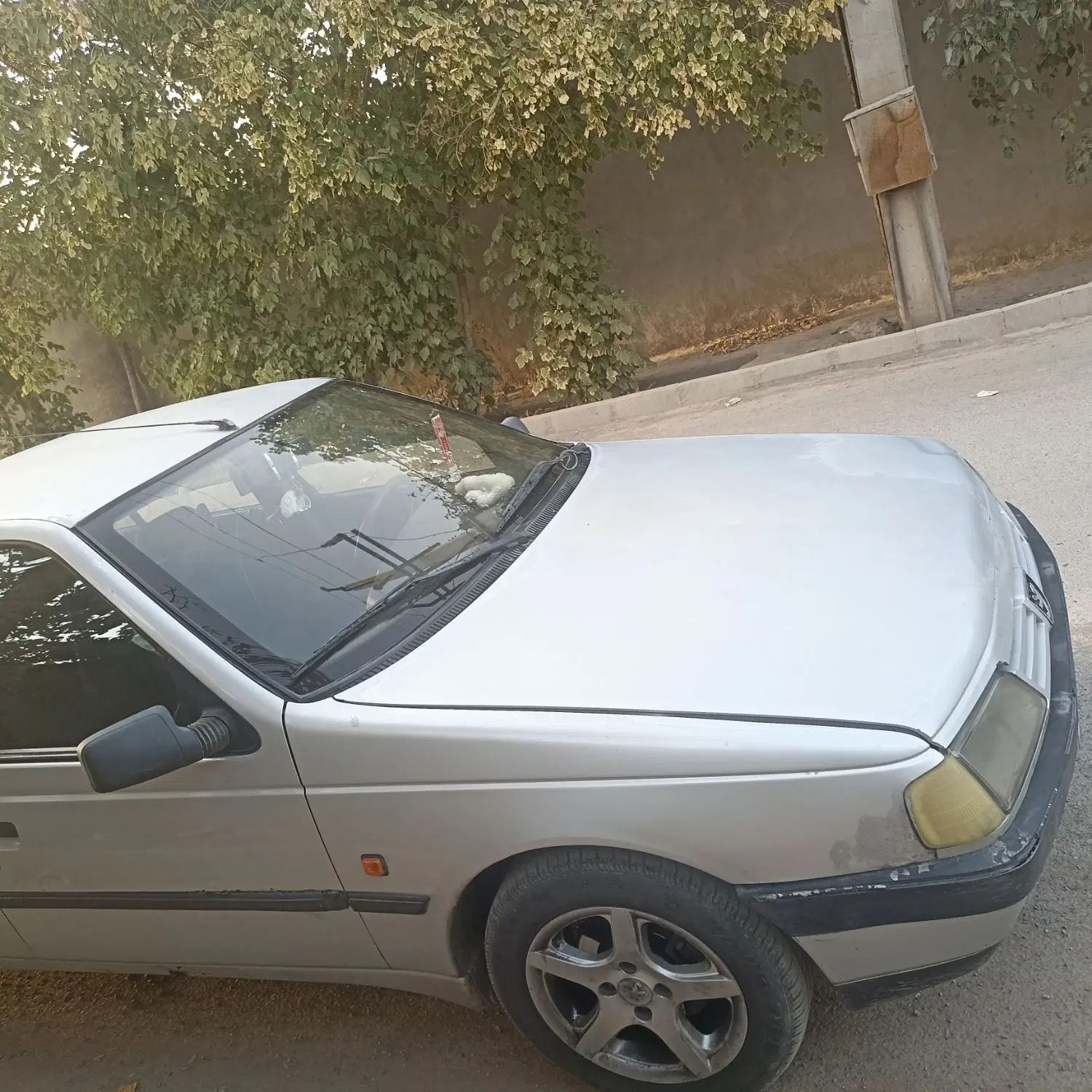 پژو 405 GLX - دوگانه سوز - 1389