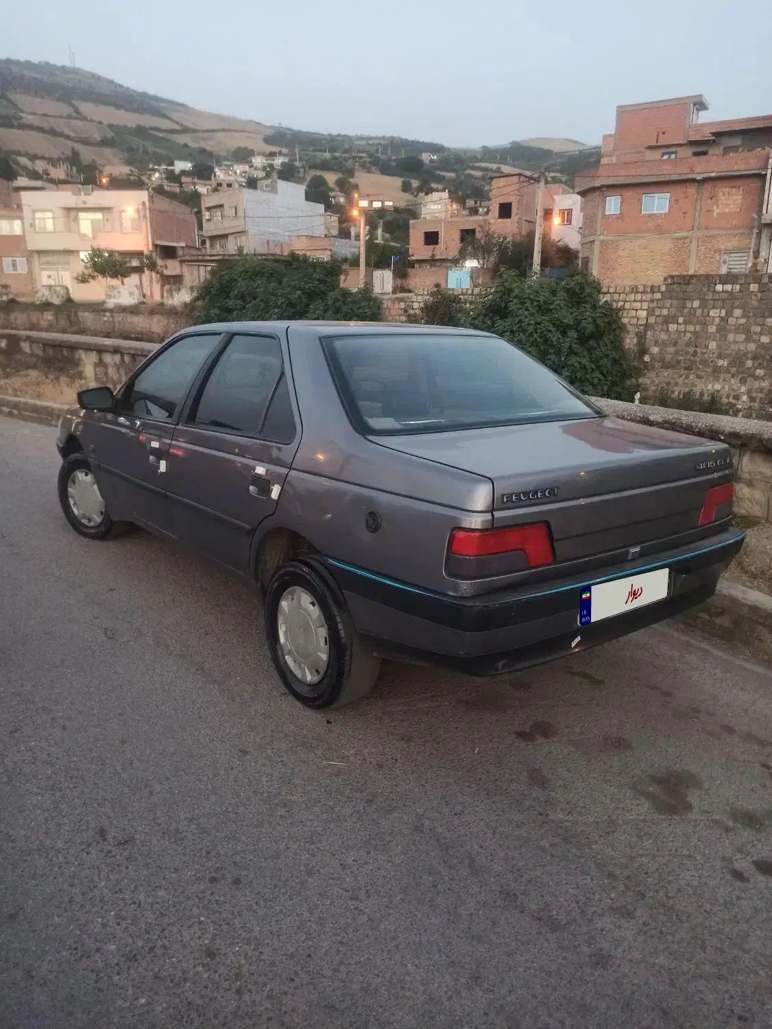 پژو 405 GLX - دوگانه سوز - 1389