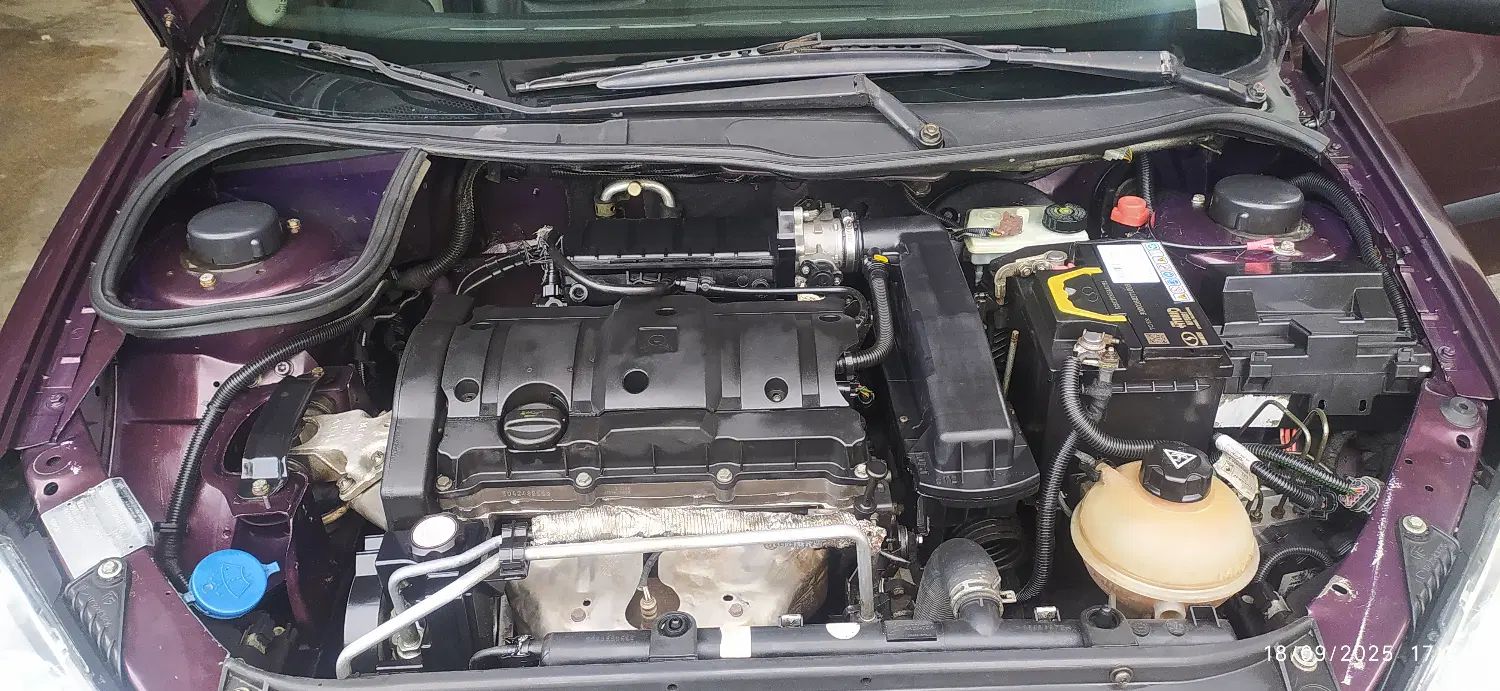 پژو ۲۰۶ صندوق دار v8 - 1394