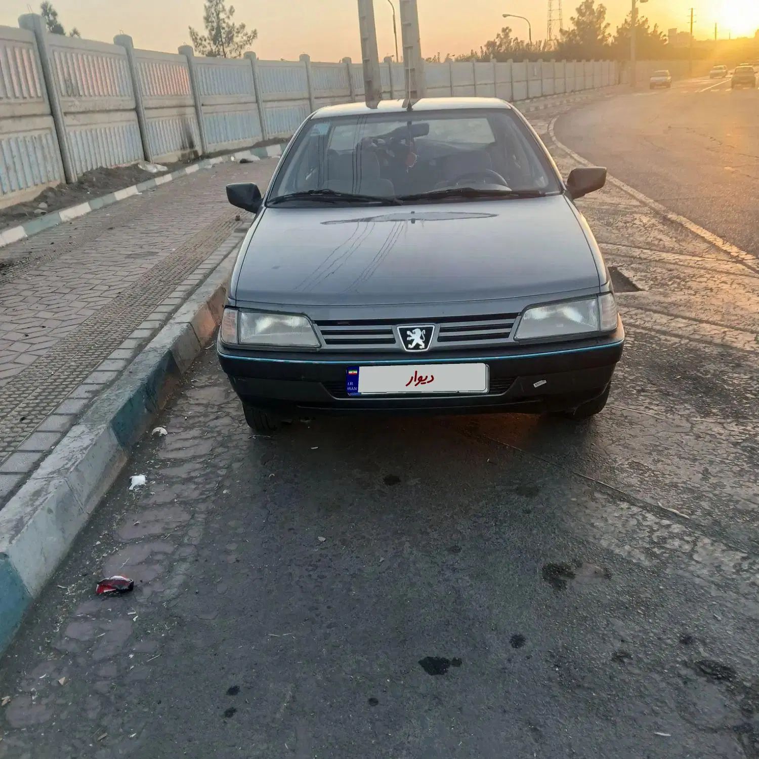 پژو 405 GLX - دوگانه سوز - 1391