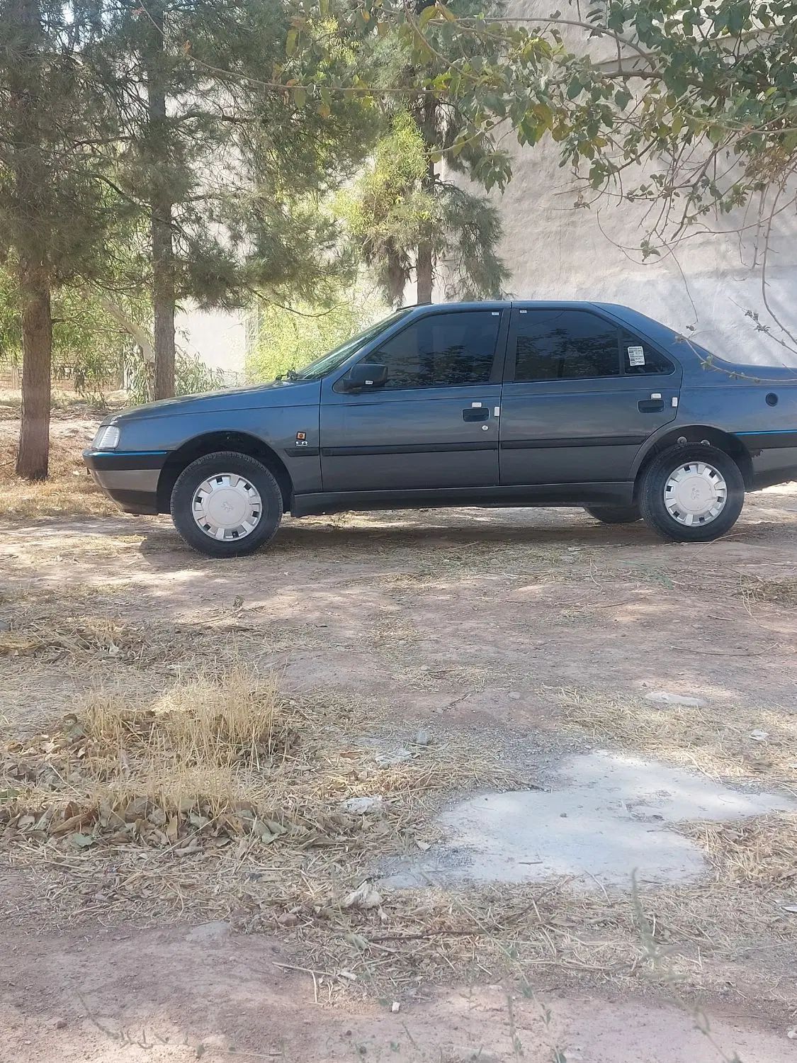 پژو 405 GLX - دوگانه سوز - 1395