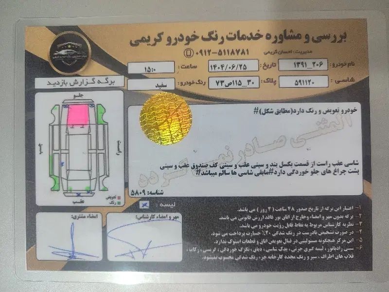 پژو 206 تیپ 2 - 1391