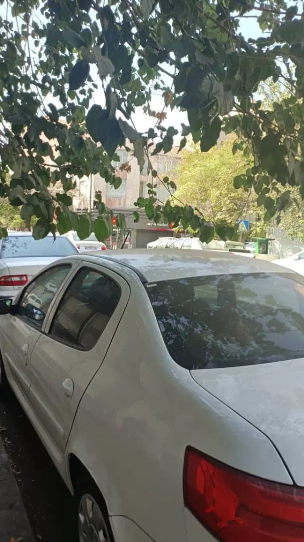 رانا پلاس سقف فلز ESP - 1403