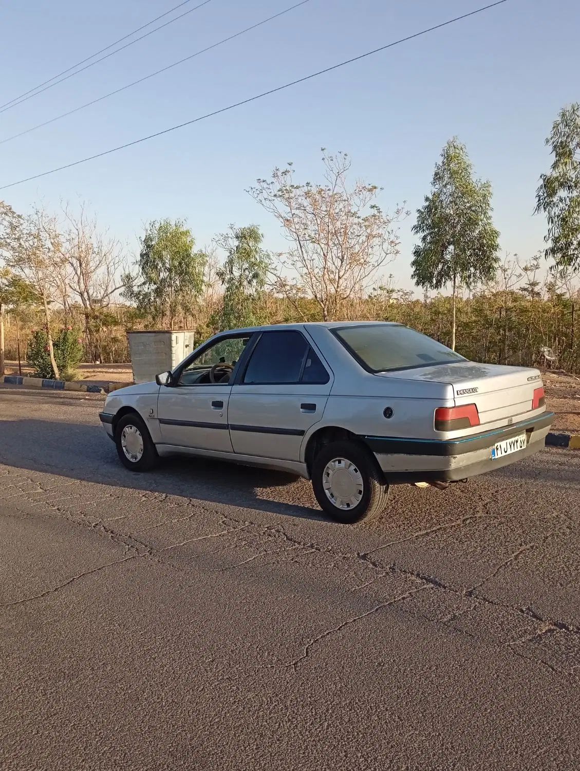 پژو 405 دوگانه سوز GLX - TU5 - 1389
