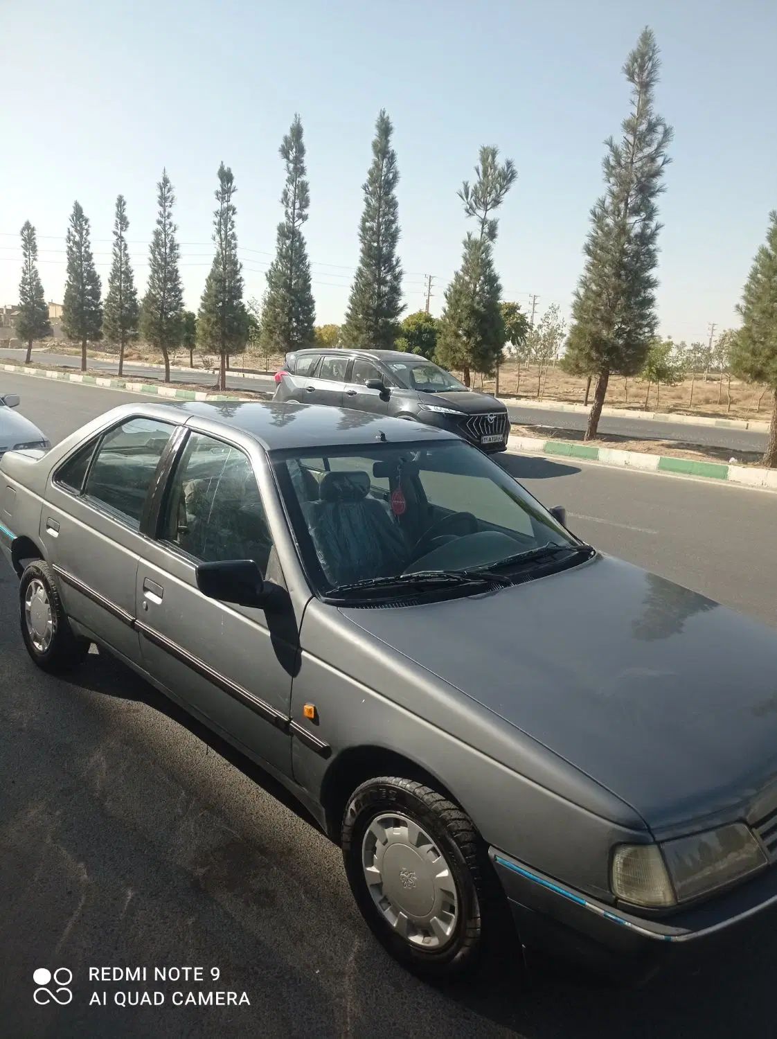 پژو 405 GLX - دوگانه سوز - 1393