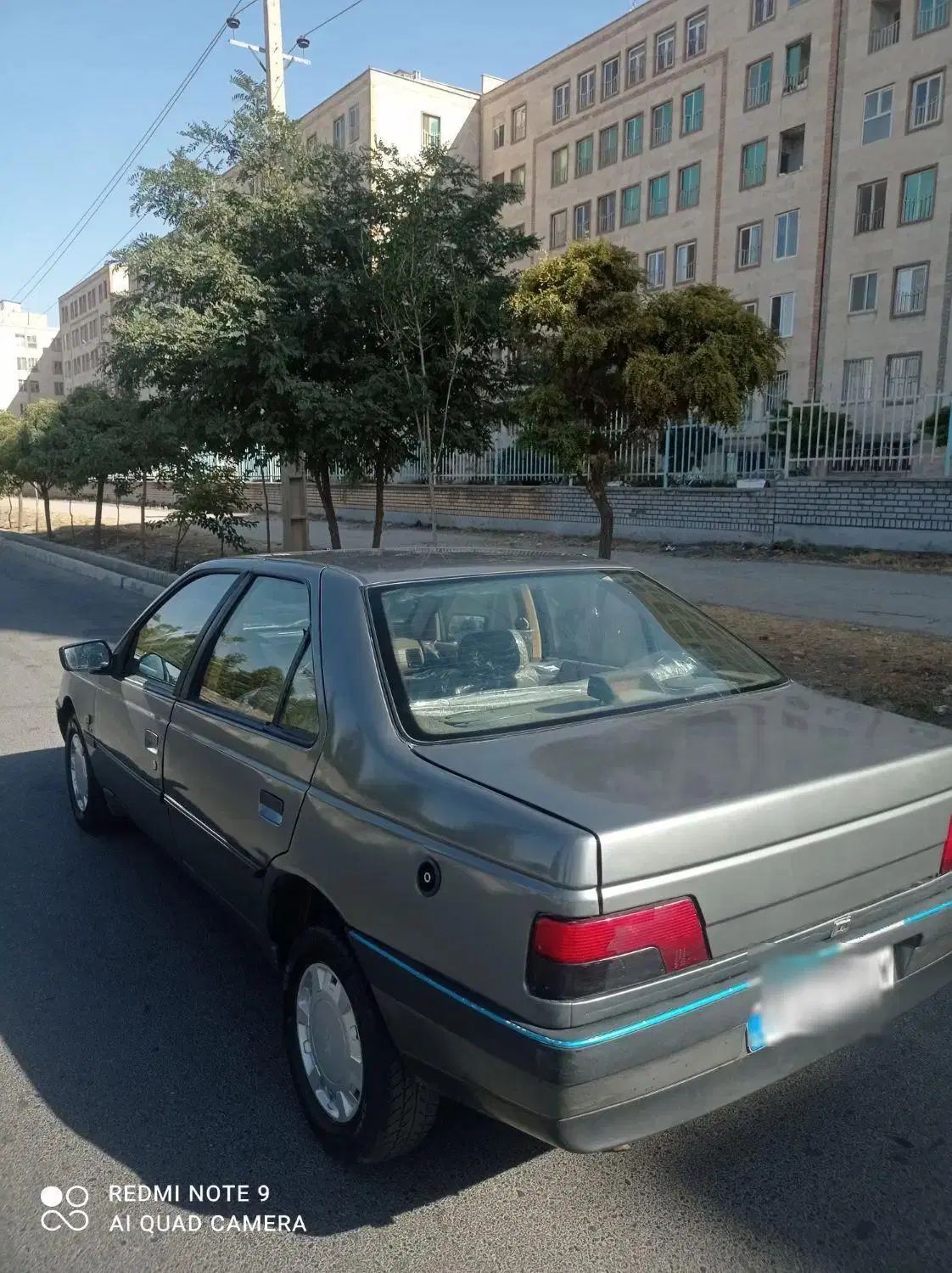 پژو 405 GLX - دوگانه سوز - 1393