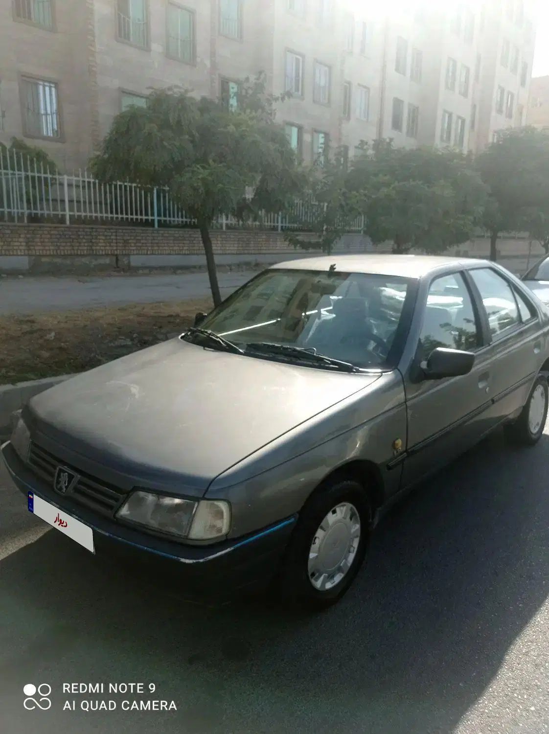 پژو 405 GLX - دوگانه سوز - 1393