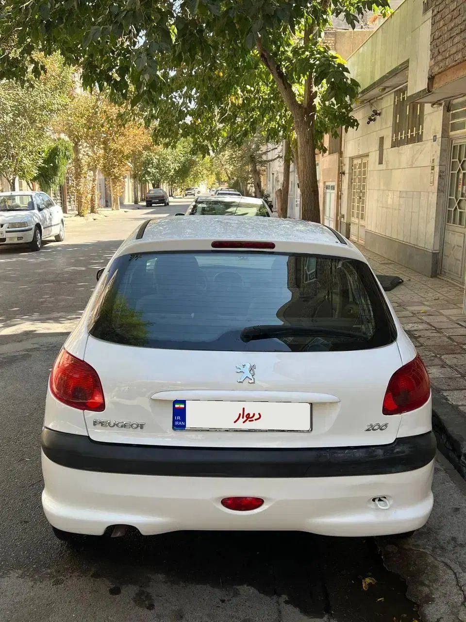 پژو 206 تیپ 2 - 1401