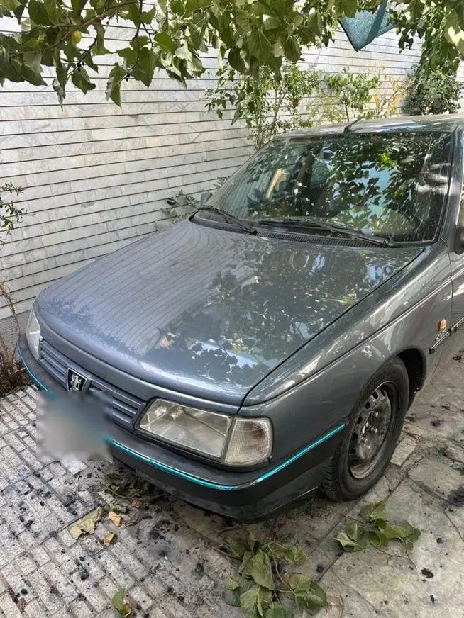 پژو 405 GLX - دوگانه سوز - 1398